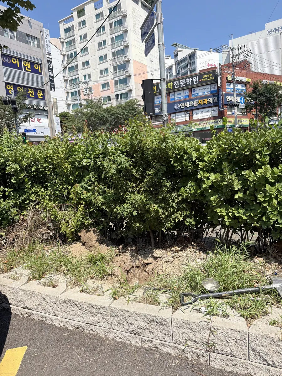 도로변 진입로 아크릴반사경 설치 전